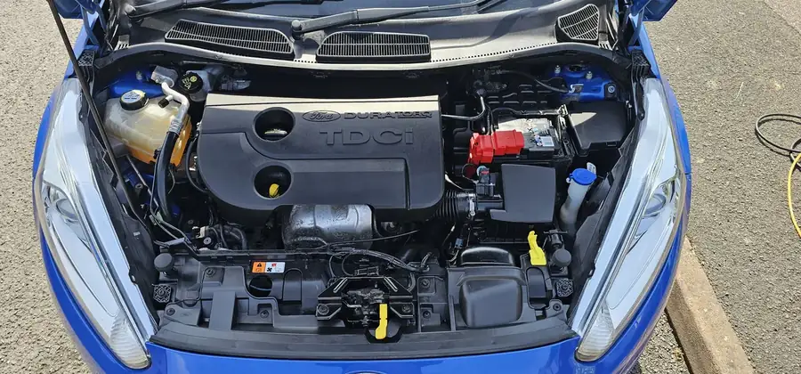Engine bay cleaning result Plymouth
