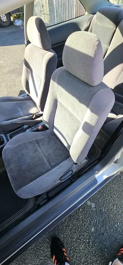 Mould removal result Plymouth