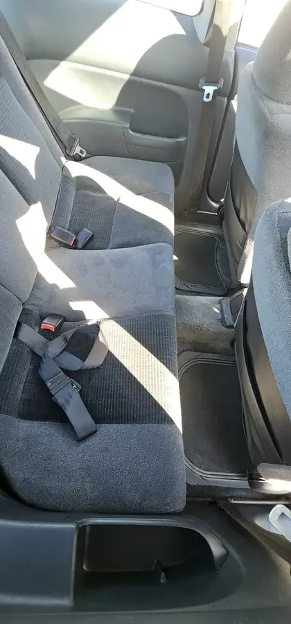 Professional mould removal completed on car in Plymouth