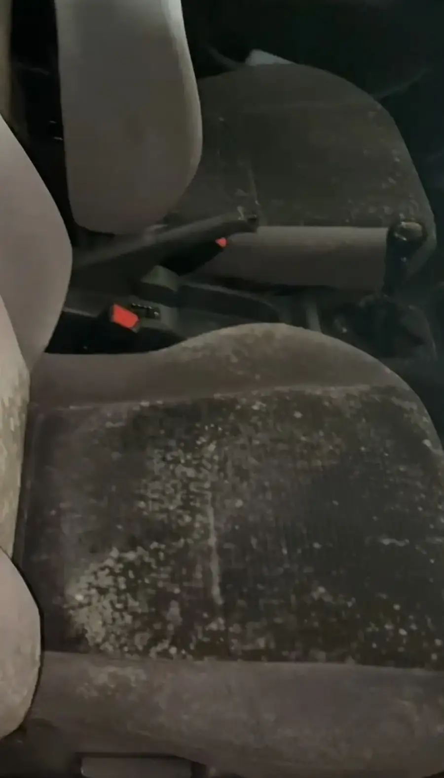 Mould in car interior before treatment Plymouth