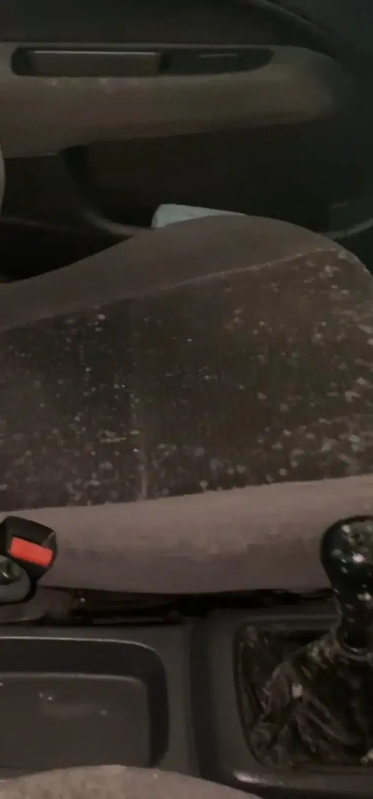 Vehicle mould contamination before detailing in Plymouth